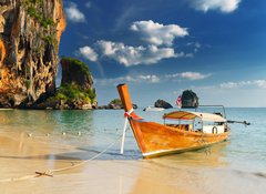 Samolepka flie 100 x 73  thailand, 100 x 73 cm