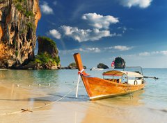 Samolepka flie 270 x 200, 30173220 - thailand