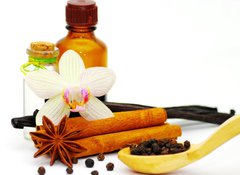 Samolepka flie 100 x 73  Cinnamon, vanilla bean and star anise, 100 x 73 cm