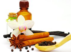 Samolepka flie 270 x 200  Cinnamon, vanilla bean and star anise, 270 x 200 cm