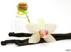 Fototapeta100 x 73  vanilla oil isolated on white background, 100 x 73 cm