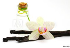 Fototapeta vliesov 145 x 100, 30233119 - vanilla oil isolated on white background