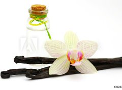 Fototapeta270 x 200  vanilla oil isolated on white background, 270 x 200 cm