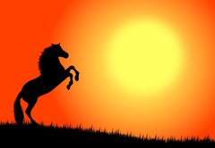 Fototapeta vliesov 145 x 100, 3033451 - cavallo nel tramonto