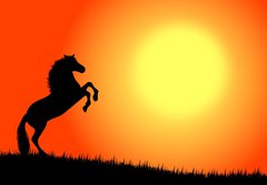 Fototapeta papr 184 x 128, 3033451 - cavallo nel tramonto