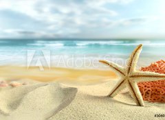 Samolepka flie 100 x 73, 30407391 - Starfish on the Beach - Hvzdice na pli