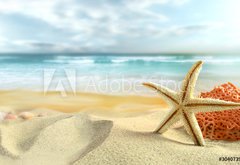 Fototapeta145 x 100  Starfish on the Beach, 145 x 100 cm