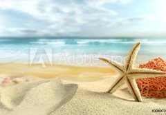 Fototapeta184 x 128  Starfish on the Beach, 184 x 128 cm