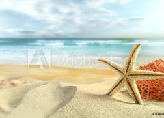 Samolepka flie 200 x 144  Starfish on the Beach, 200 x 144 cm
