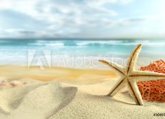 Fototapeta vliesov 200 x 144, 30407391 - Starfish on the Beach