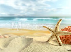 Fototapeta360 x 266  Starfish on the Beach, 360 x 266 cm