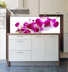 Fototapeta do kuchyn flie 180 x 60, 30514912 - Orchidea