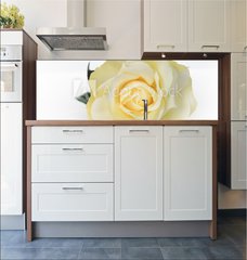 Fototapeta do kuchyn flie 180 x 60  Single White Rose, 180 x 60 cm