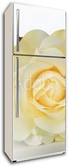 Samolepka na lednici flie 80 x 200  Single White Rose, 80 x 200 cm