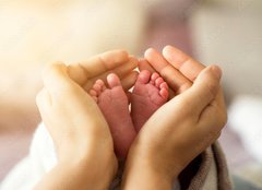 Fototapeta papr 254 x 184, 305703618 - baby foots in hands on sunshine light