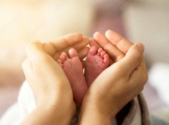Samolepka flie 270 x 200, 305703618 - baby foots in hands on sunshine light