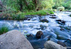 Fototapeta vliesov 145 x 100, 30613920 - Flowing Creek