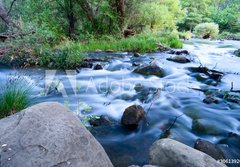 Fototapeta184 x 128  Flowing Creek, 184 x 128 cm