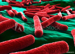 Samolepka flie 100 x 73  E coli Bacteria close up, 100 x 73 cm
