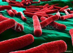 Fototapeta papr 160 x 116, 30619271 - E coli Bacteria close up