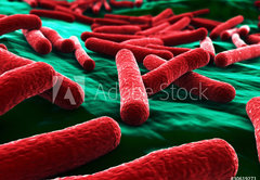 Fototapeta pltno 174 x 120, 30619271 - E coli Bacteria close up