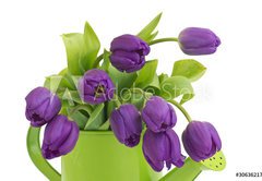 Samolepka flie 145 x 100  bunch of violet tulips, 145 x 100 cm