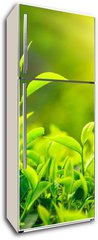 Samolepka na lednici flie 80 x 200, 30841113 - Tea bud and leaves