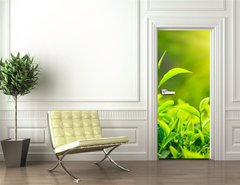 Samolepka na dvee flie 90 x 220, 30841113 - Tea bud and leaves