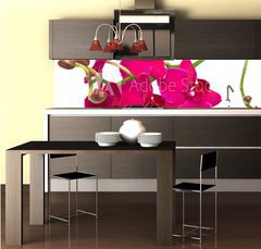 Fototapeta do kuchyn flie 260 x 60, 30847359 - orchidea su sfondo bianco