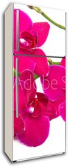 Samolepka na lednici flie 80 x 200, 30847359 - orchidea su sfondo bianco