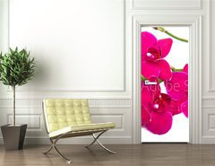 Samolepka na dvee flie 90 x 220, 30847359 - orchidea su sfondo bianco