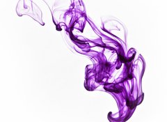Samolepka flie 100 x 73, 30944502 - Ink in the water