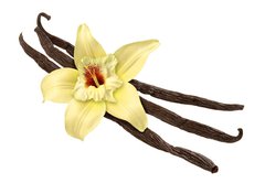 Fototapeta145 x 100  Vanilla Bean and Flower (clipping path), 145 x 100 cm