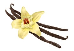 Fototapeta174 x 120  Vanilla Bean and Flower (clipping path), 174 x 120 cm