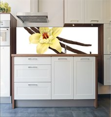 Fototapeta do kuchyn flie 180 x 60  Vanilla Bean and Flower (clipping path), 180 x 60 cm