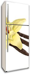 Samolepka na lednici flie 80 x 200  Vanilla Bean and Flower (clipping path), 80 x 200 cm