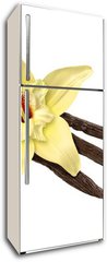 Samolepka na lednici fólie 80 x 200, 30979053 - Vanilla Bean and Flower (clipping path) - Vanilková fazole a květina (ořezová cesta)