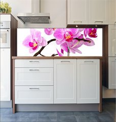 Fototapeta do kuchyn flie 180 x 60  isolated orchid, 180 x 60 cm