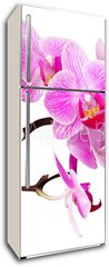 Samolepka na lednici flie 80 x 200  isolated orchid, 80 x 200 cm