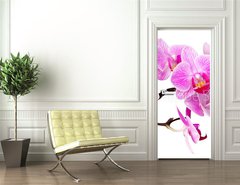 Samolepka na dvee flie 90 x 220  isolated orchid, 90 x 220 cm