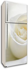 Samolepka na lednici flie 80 x 200, 31158130 - Soft white rose