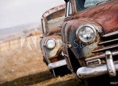 Samolepka flie 100 x 73, 3117112 - abandoned cars - oputn automobily