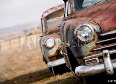 Samolepka flie 200 x 144, 3117112 - abandoned cars