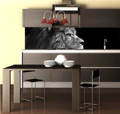 Fototapeta do kuchyn flie 260 x 60, 31175850 - Stunning facial portrait of male lion on black background in bla