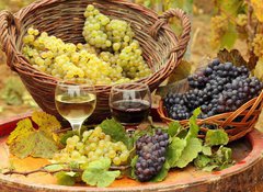 Samolepka flie 100 x 73, 31176715 - Wine and Grapes in the Vineyard - Vno a hrozny na Vinici