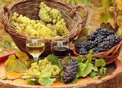 Samolepka flie 200 x 144, 31176715 - Wine and Grapes in the Vineyard