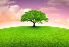 Samolepka flie 145 x 100, 3120144 - arbre sur prairie - arbre sur prrie