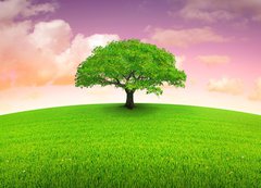 Samolepka flie 200 x 144, 3120144 - arbre sur prairie - arbre sur prrie