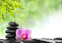Fototapeta papr 184 x 128, 31281458 - Spa concept