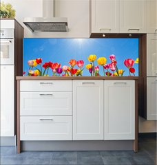 Fototapeta do kuchyn flie 180 x 60, 31333343 - Tulips in the sun